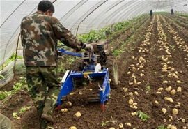 手扶型收獲機案例